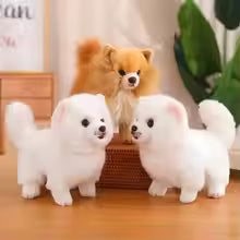 Realistic Pomeranian Plush Toy, Fluffy Stuffed Dog