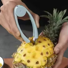 Stainless Steel Pineapple Eye Remover & Strawberry Stem Tool