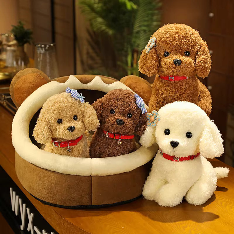 Curly Hair Teddy Dog Plush Toy