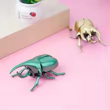 3PC Wind-Up Beetle Toys – Animated Scarab Insect