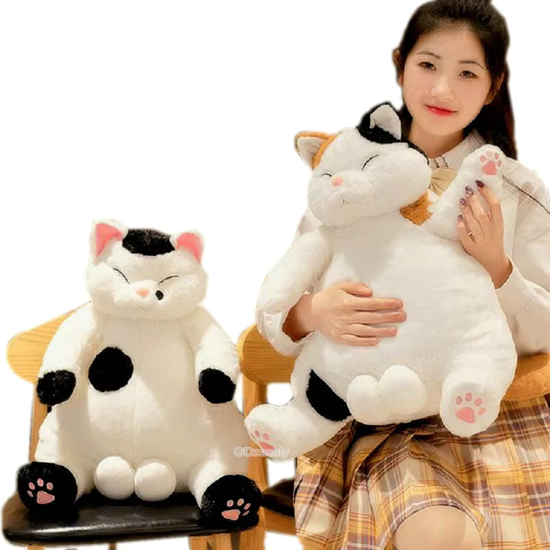 Big Belly Cat Plush Toy, Cute Stuffed Animal