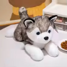 30/40/50cm Husky Plush Toy