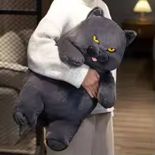 Fat Black Cat Plush Toy, Lifelike Stuffed Animal