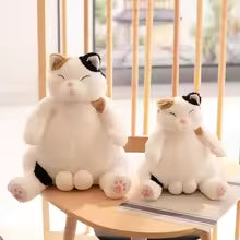Big Belly Cat Plush Toy, Cute Stuffed Animal