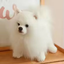 Realistic Pomeranian Plush Toy, Fluffy Stuffed Dog