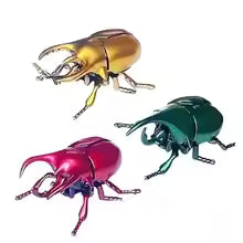 3PC Wind-Up Beetle Toys – Animated Scarab Insect