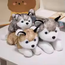 30/40/50cm Husky Plush Toy