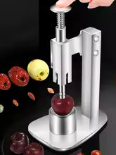 Stainless Steel Date Pitter Cherry Olive Fruit Seed Remover