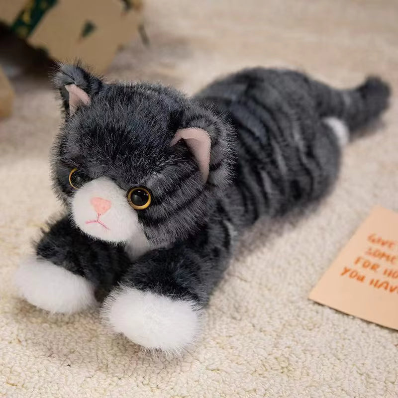 40/50cm Cute Cat Plush Pillow