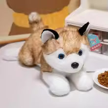 30/40/50cm Husky Plush Toy